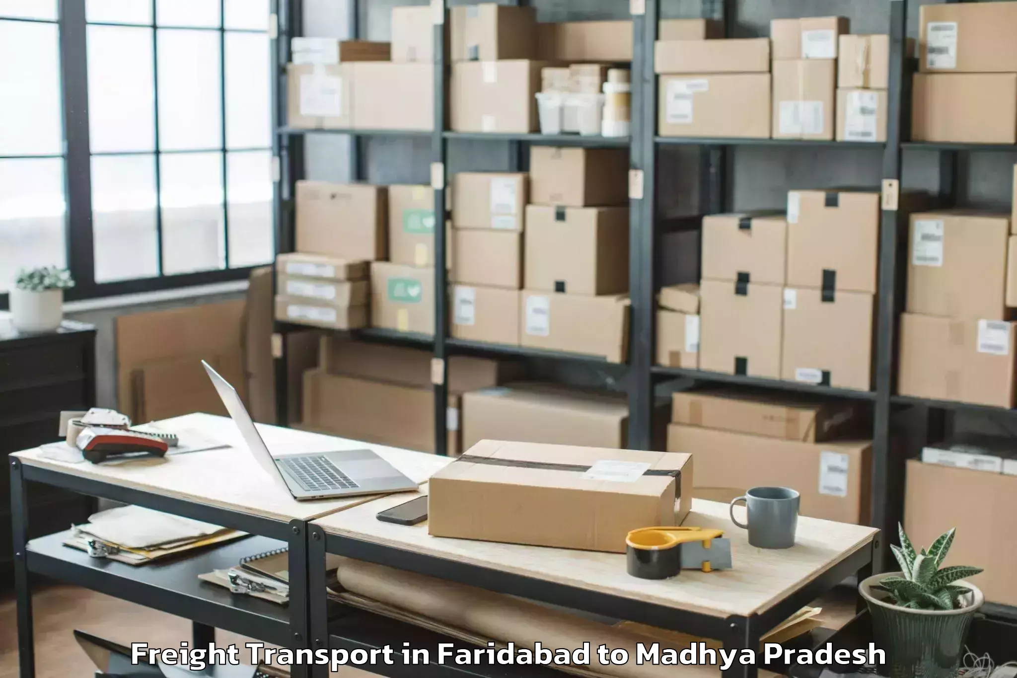 Easy Faridabad to Dhar Freight Transport Booking